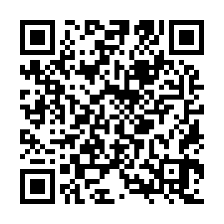 QR code for ZYO963