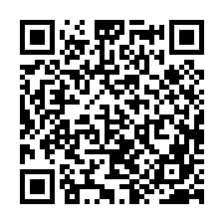 QR code for ZYP066