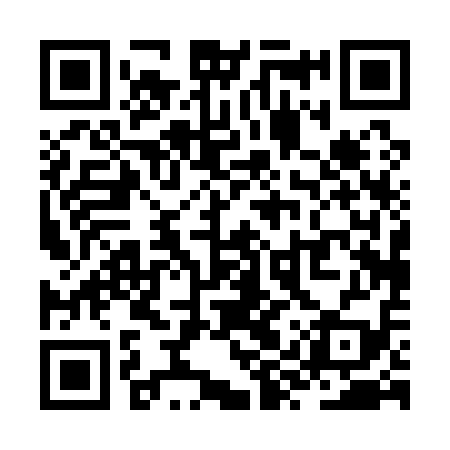 QR code for ZYP119