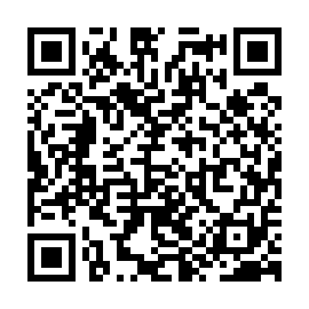 QR code for ZYU551