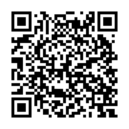 QR code for ZYW207