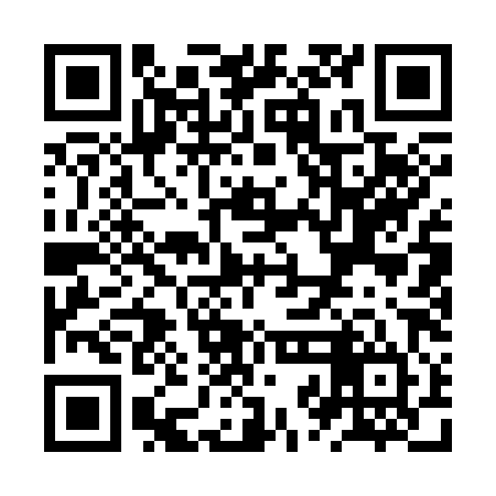 QR code for ZZA384