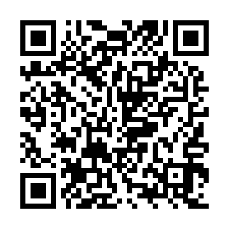 QR code for ZZD913