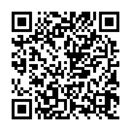 QR code for ZZE308