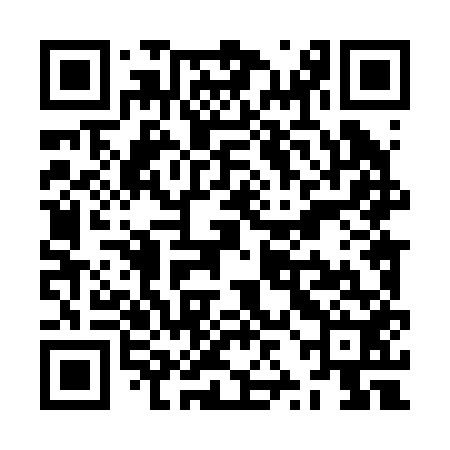 QR code for ZZL252