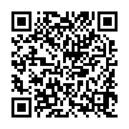 QR code for ZZL290