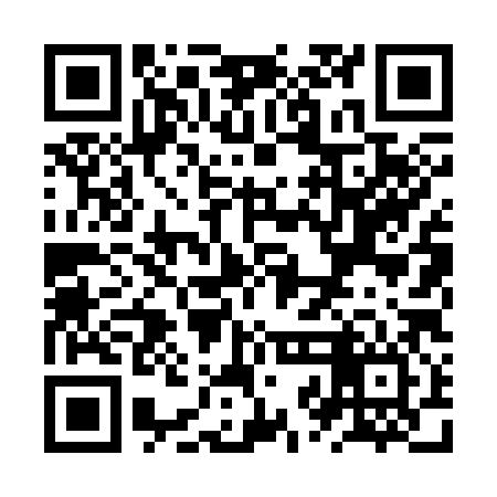 QR code for ZZL386