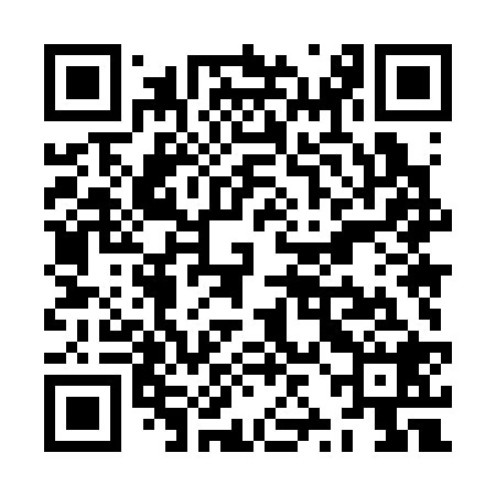 QR code for ZZM328