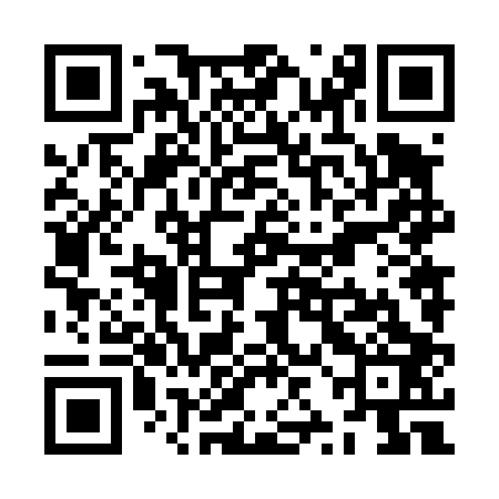 QR code for ZZN403