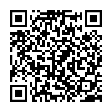 QR code for ZZO059