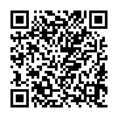QR code for ZZO095