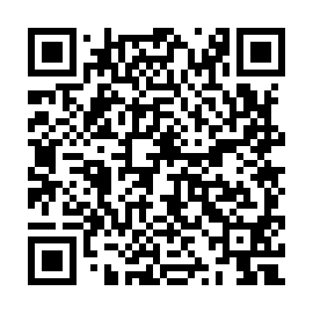 QR code for ZZO990