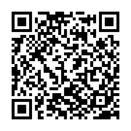 QR code for ZZS300