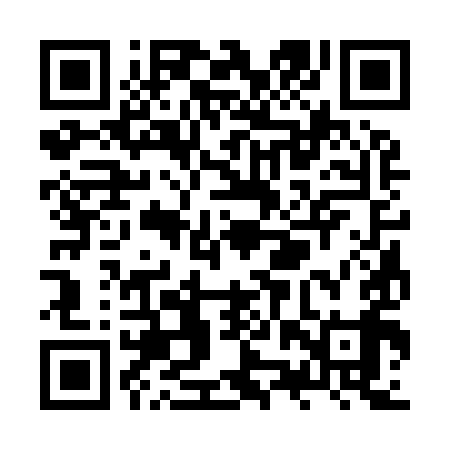 QR code for ZZS999