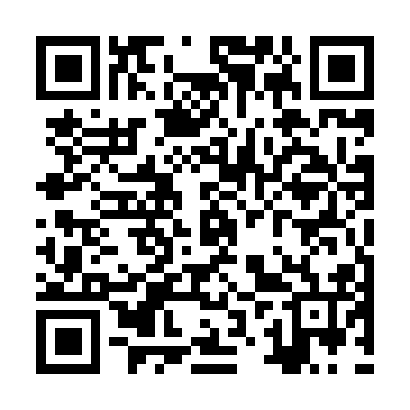 QR code for ZZU816