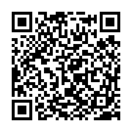 QR code for ZZZ663