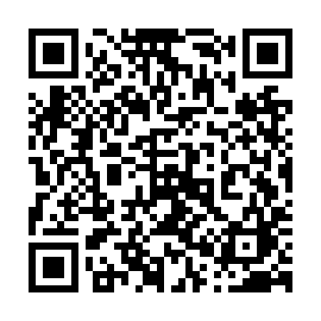 QR code for 007NYC