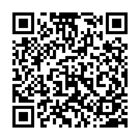 QR code for 009APP