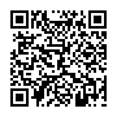 QR code for 029SMI