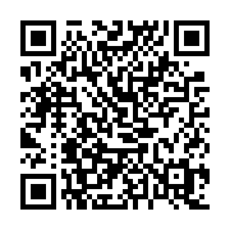 QR code for 041FSM