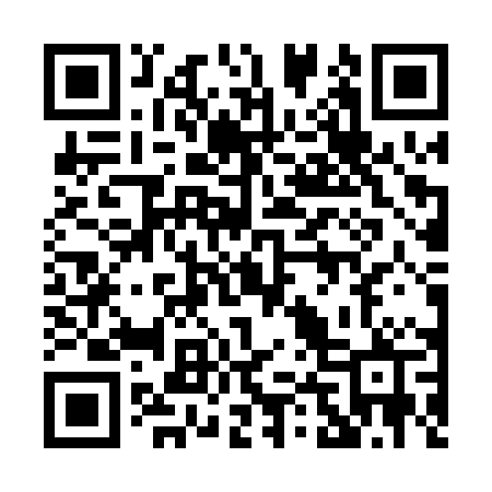 QR code for 042PPP
