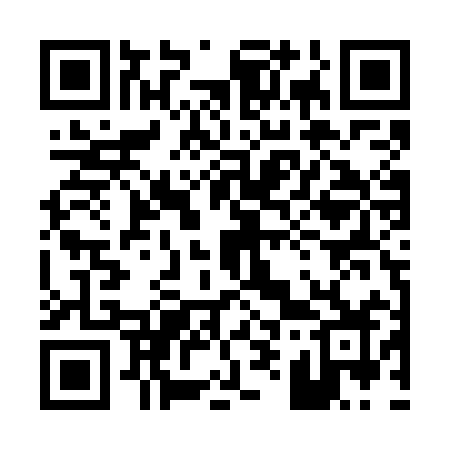 QR code for 095WIZ