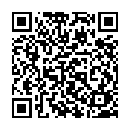 QR code for 101MCL
