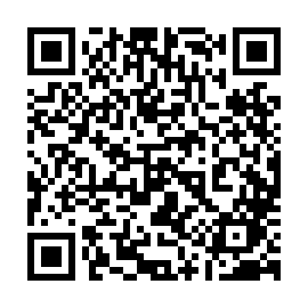QR code for 110LLO