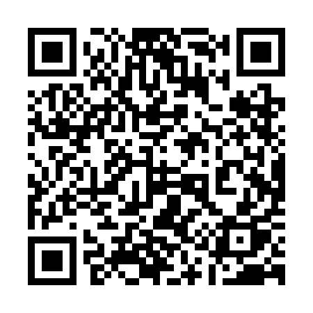 QR code for 110SAP