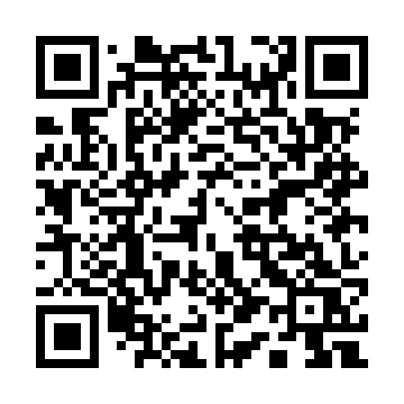 QR code for 111MZS