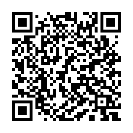 QR code for 113CTP