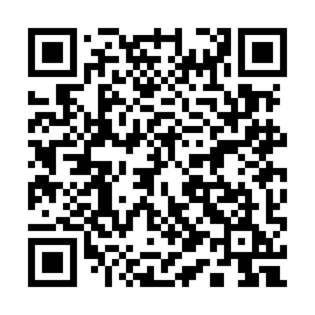 QR code for 113MIE