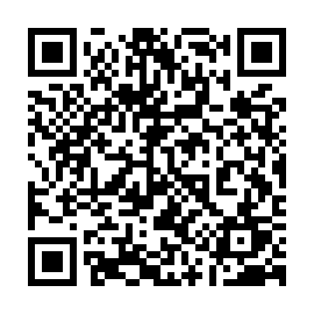 QR code for 113MST