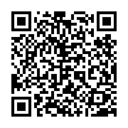 QR code for 115TOY