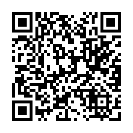 QR code for 125LSI