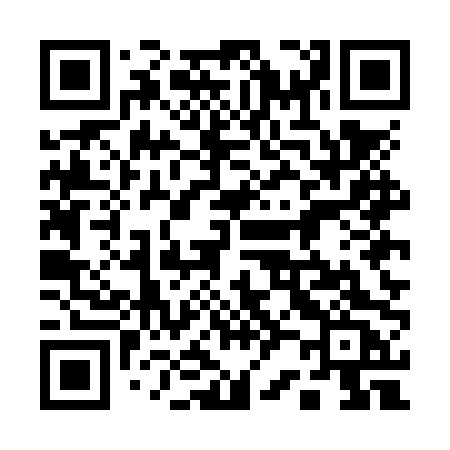 QR code for 125NPC