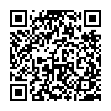 QR code for 133NDP