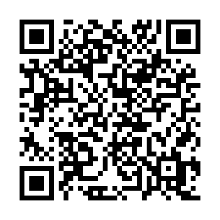 QR code for 141MFL