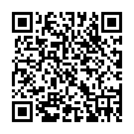 QR code for 161LAT