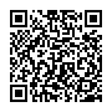 QR code for 161MEX