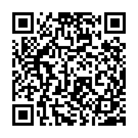 QR code for 161QIS