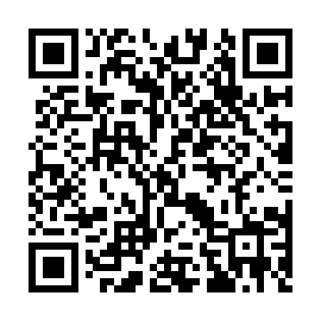 QR code for 161YIZ