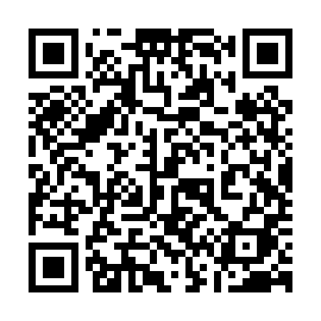 QR code for 162PPI