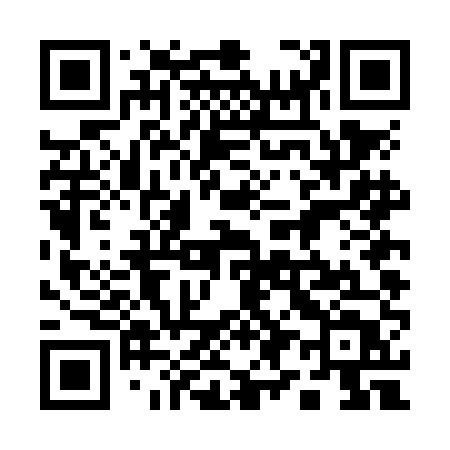 QR code for 194NET
