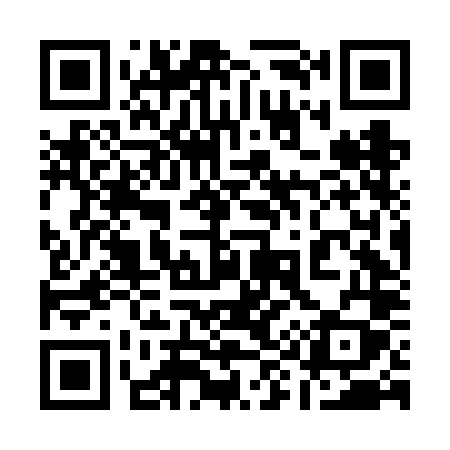 QR code for 196FLY