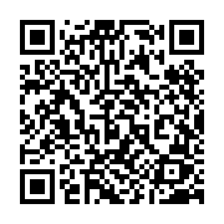 QR code for 196PFZ