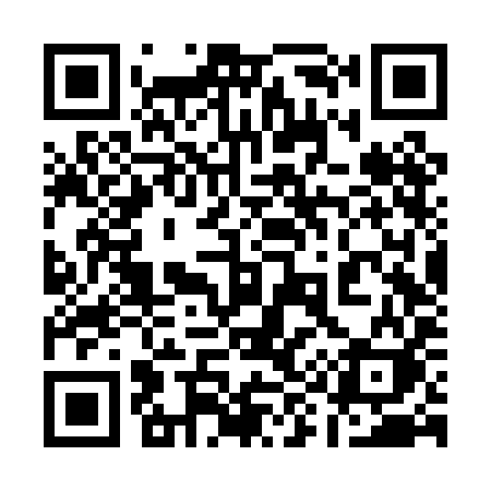 QR code for 196PIK