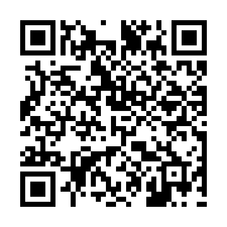 QR code for 203SGP