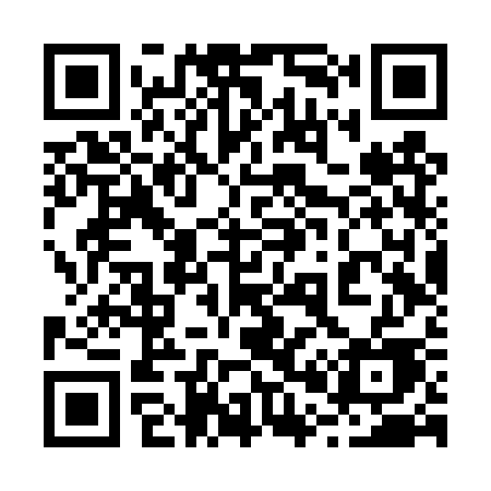 QR code for 206TSE