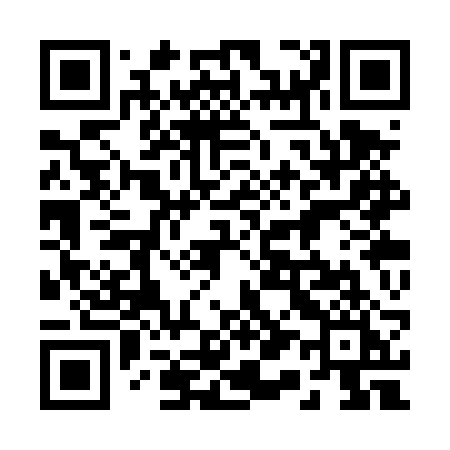 QR code for 213TRI